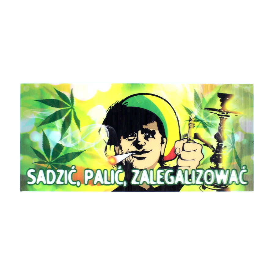 31 Sadzić, Palić, Zalegalizować