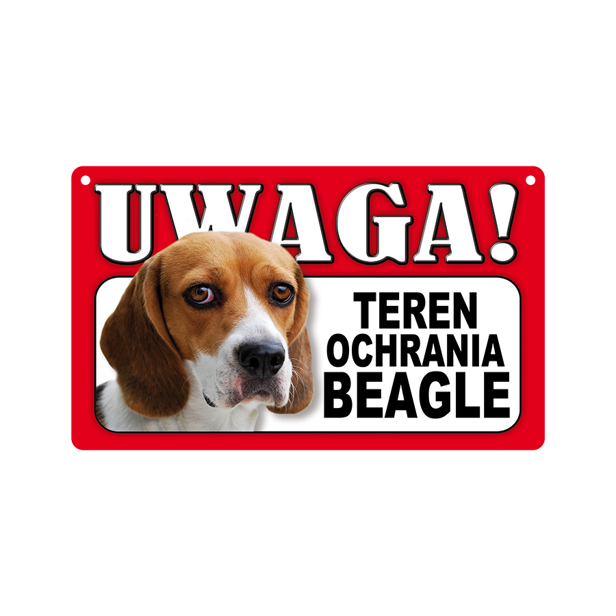 04 Beagle