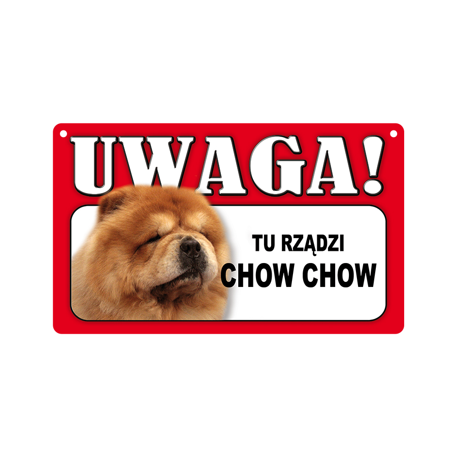 12 Chow Chow