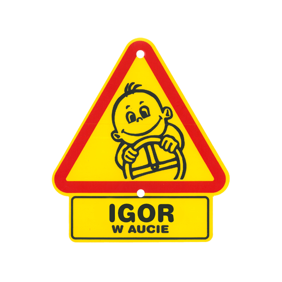 45 Igor