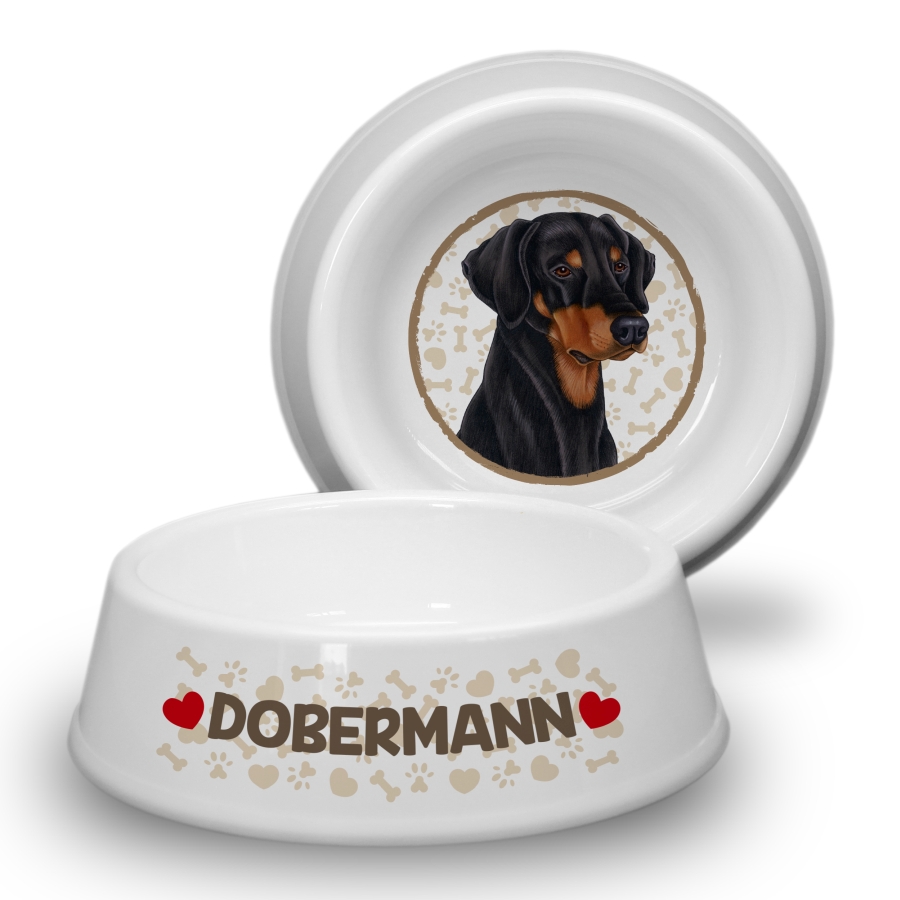 31 Dobermann