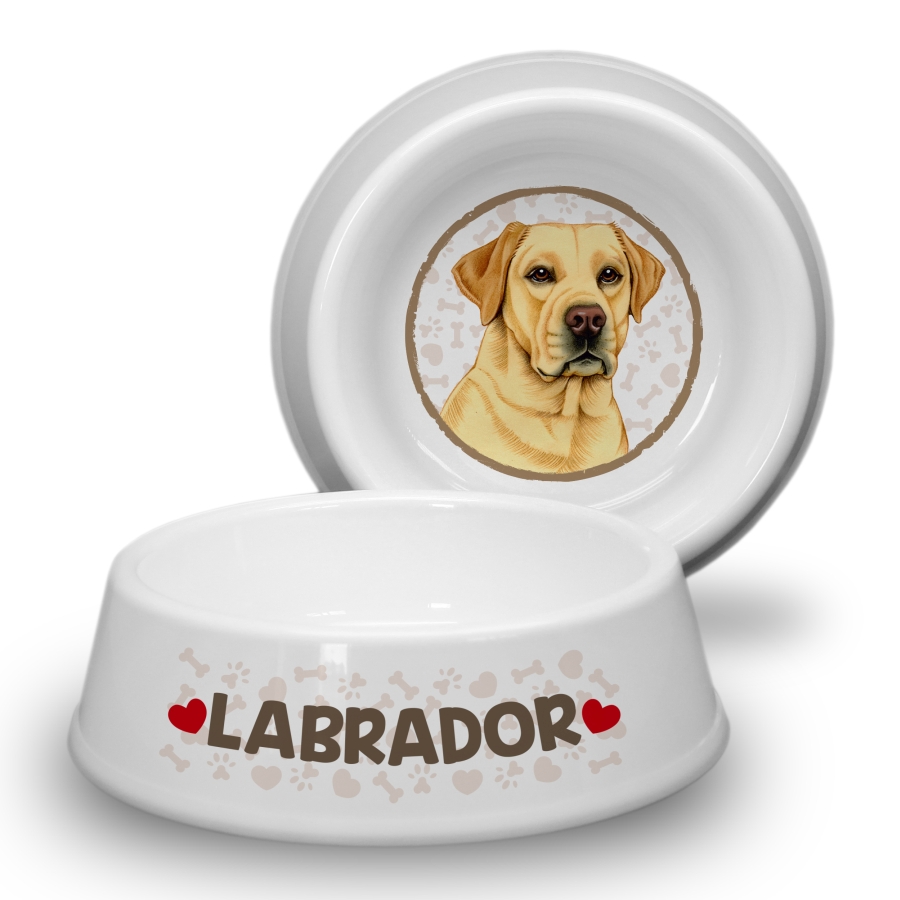 34 Labrador (Biszkopt)