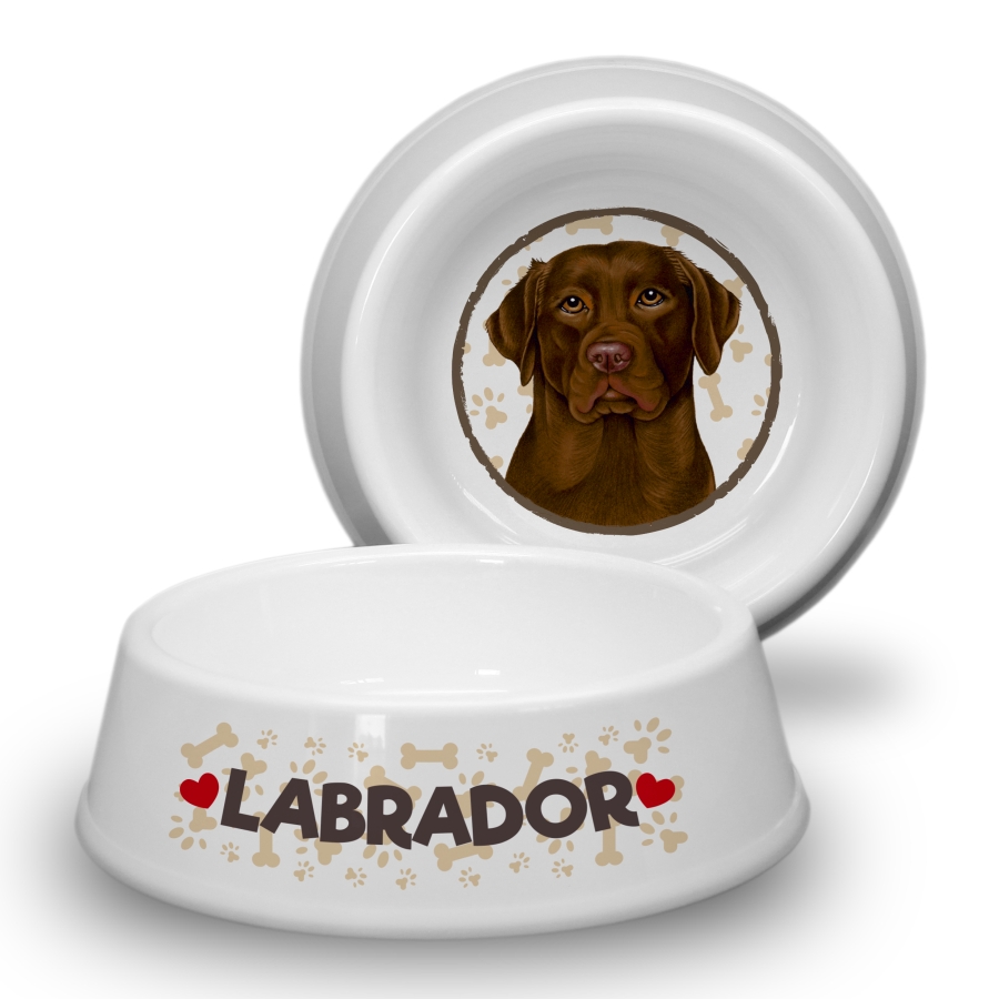 36 Labrador (Czekoladowy)