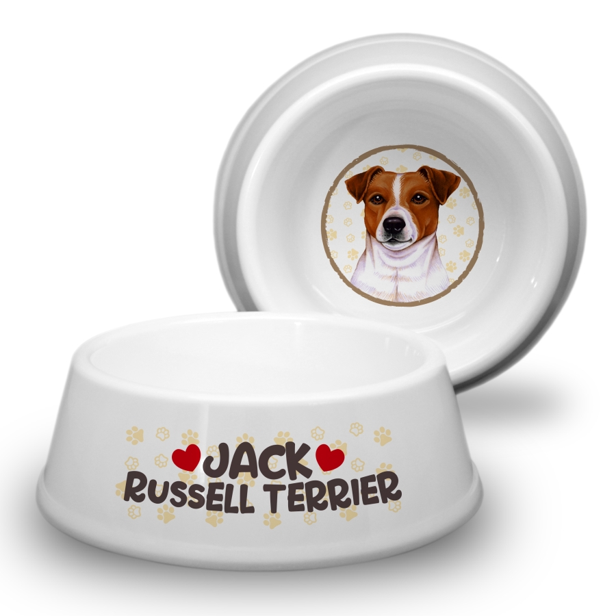 04 Jack Russell Terrier