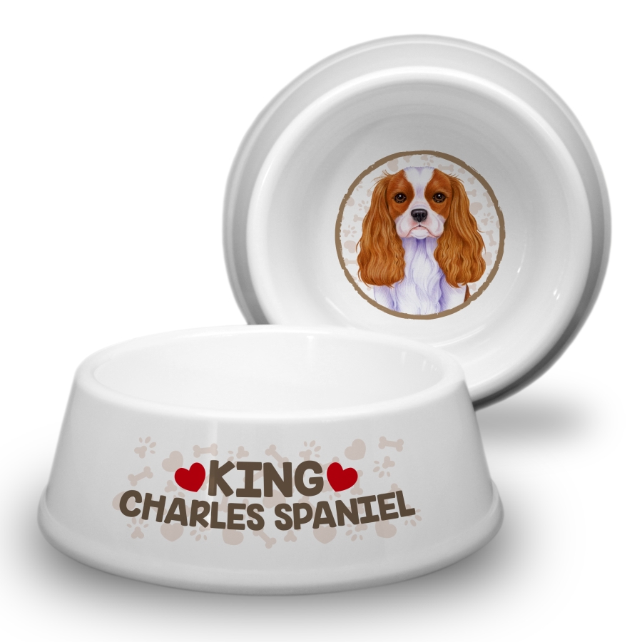 07 King Charles Spaniel
